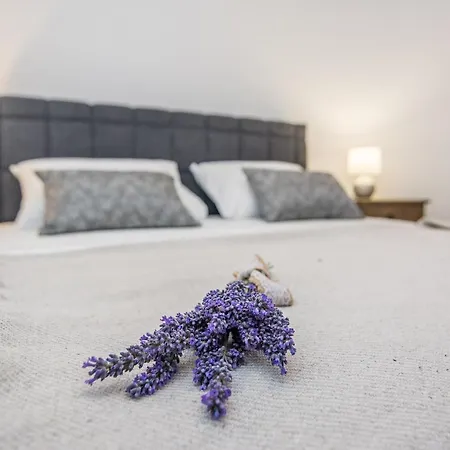 Apartment Maella Zadar